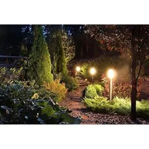 Paquete de 10 bombillas halógenas G8 de 25 W 120 V tipo