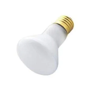 Bombilla de lava de 100 W 100 W 125 voltios R tipo R20_1