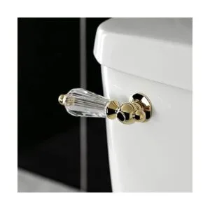Kingston Brass KTWLL2 Wilshire Palanca para inodoro_3