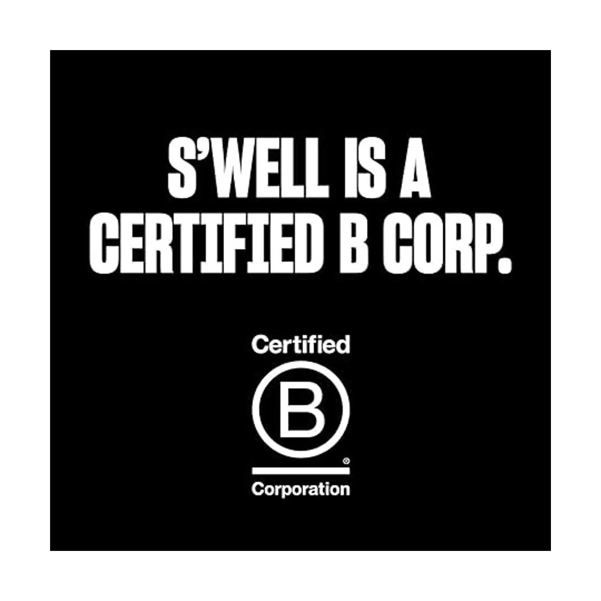 Swell Jarra para vaso de vino_6