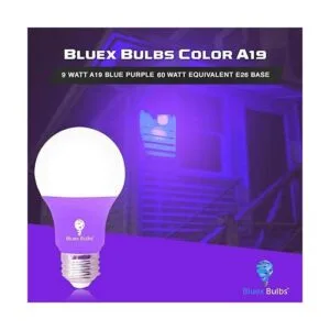 BlueX Paquete de 2 bombillas LED A19 9 W equivalente a_2