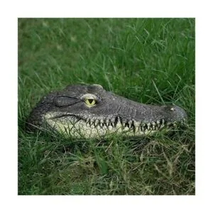 Geniff Cabeza de cocodrilo flotante accesorios de