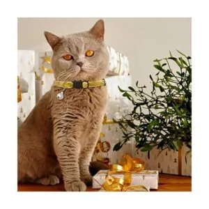 KUDES Juego de 8 collares de gato con campanilla para