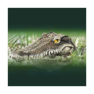 Geniff Cabeza de cocodrilo flotante accesorios de