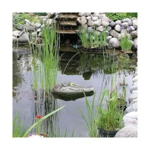 Geniff Cabeza de cocodrilo flotante accesorios de