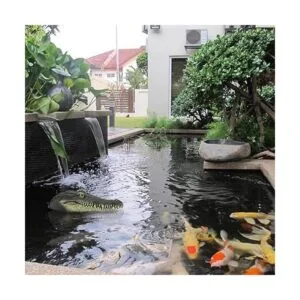 Geniff Cabeza de cocodrilo flotante accesorios de