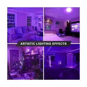 BlueX Paquete de 2 bombillas LED A19 9 W equivalente a_4