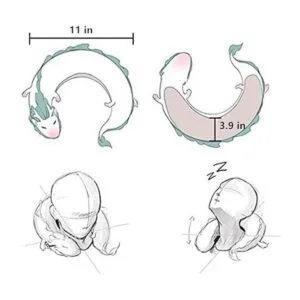 ForBEST Almohada de peluche en forma de U de dragón con