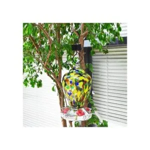 Colibrí comedero para hormigas foso de colibrí y comedero