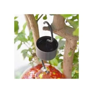 Colibrí comedero para hormigas foso de colibrí y comedero