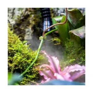REPTI ZOO Humidificador digital para terrarios de reptiles_6