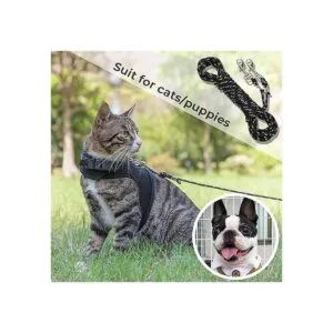 CHERPET Correa reflectante para gatos 26 pies a prueba