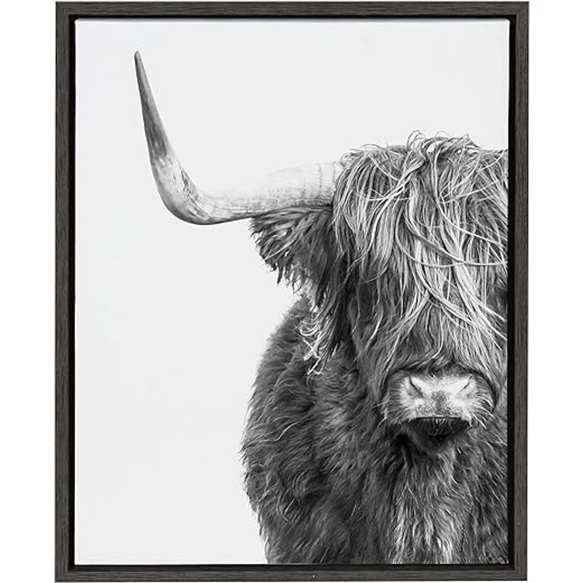 Kate and Laurel Sylvie Highland Cow Lienzo enmarcado con_1