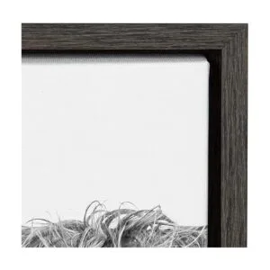 Kate and Laurel Sylvie Highland Cow Lienzo enmarcado con_3