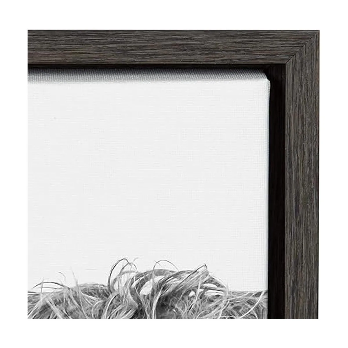 Kate and Laurel Sylvie Highland Cow Lienzo enmarcado con_3