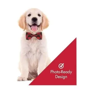 Huxley Kent Pajarita para mascotas diseño a cuadros de