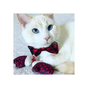 Huxley Kent Pajarita para mascotas diseño a cuadros de