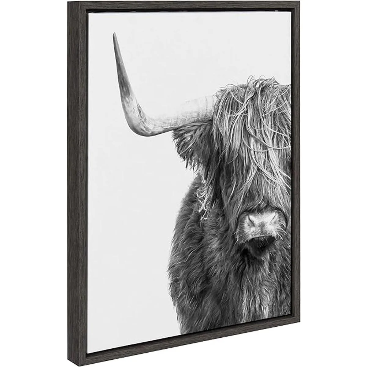 Kate and Laurel Sylvie Highland Cow Lienzo enmarcado con_2