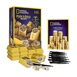 NATIONAL GEOGRAPHIC Fools Gold Dig Kit 12 ladrillos de_1