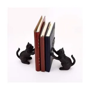 Ambipolar Cat Decorative Bookends Unique Book Ends to_3