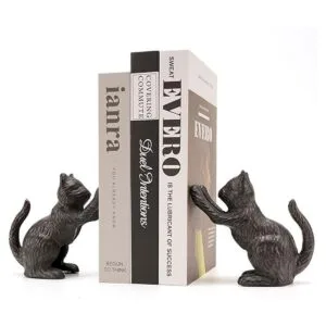 Ambipolar Cat Decorative Bookends Unique Book Ends to_1