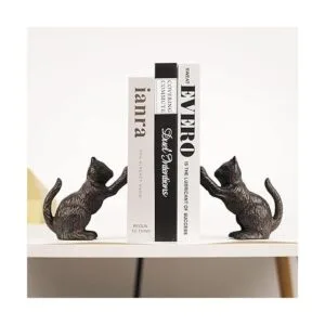 Ambipolar Cat Decorative Bookends Unique Book Ends to_5