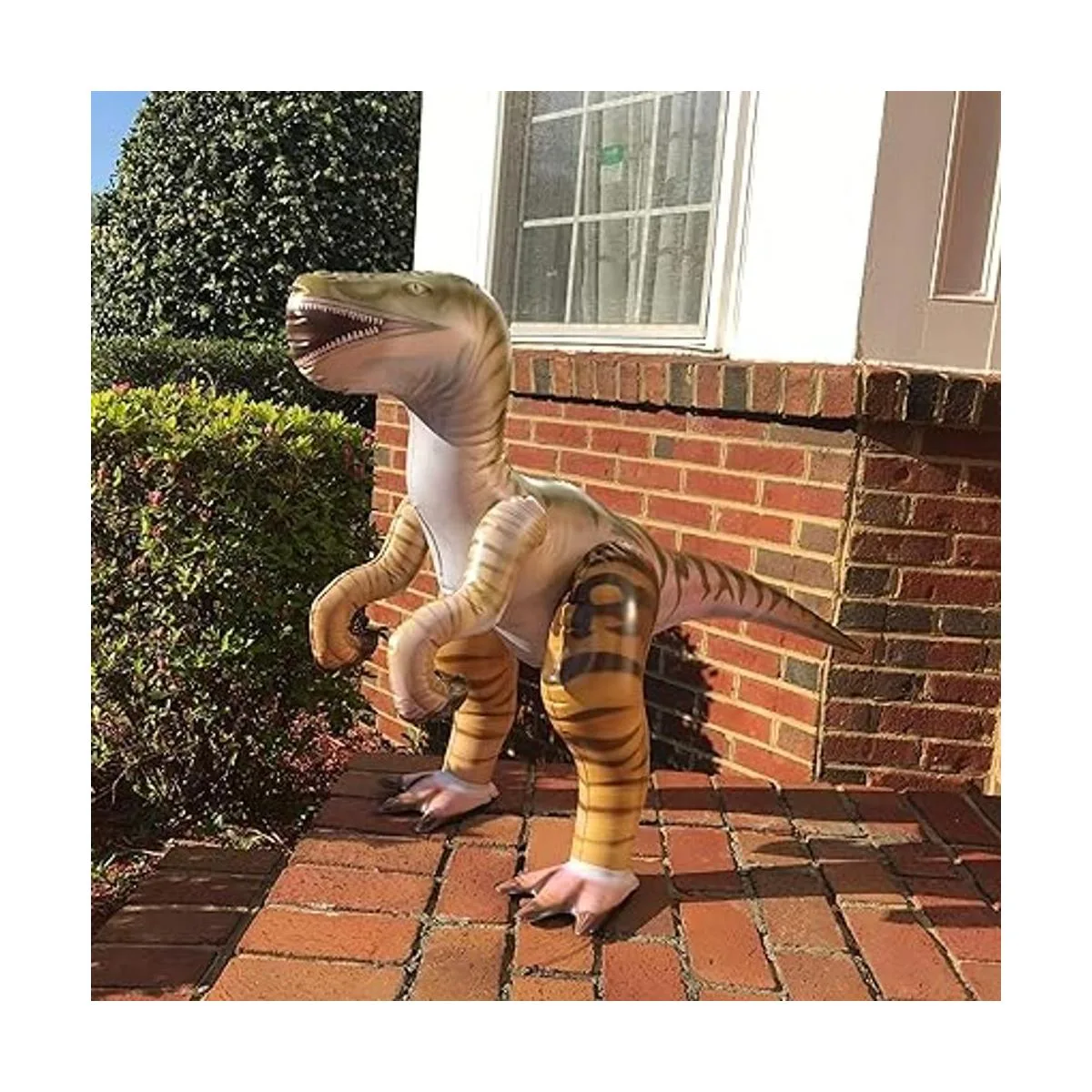 Jet Creations Paquete de 4 dinosaurios inflables_3