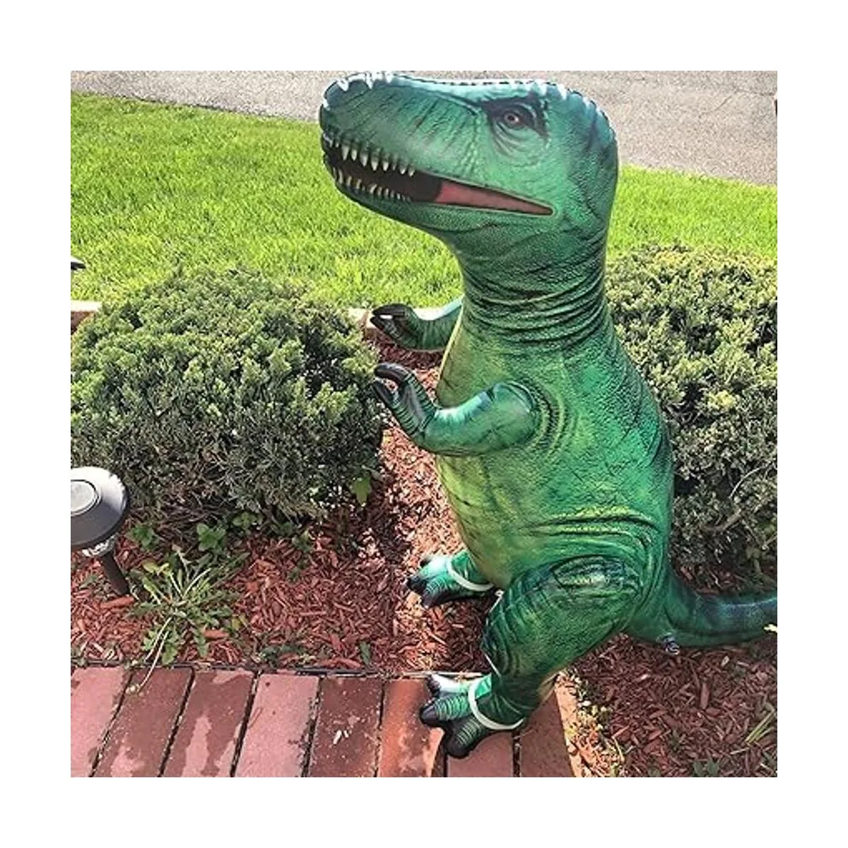 Jet Creations Paquete de 4 dinosaurios inflables_5