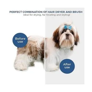 Secador de pelo para mascotas portátil y silencioso 2 en_2