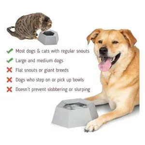 Leashboss Cuenco de agua para perro de viaje sin_4