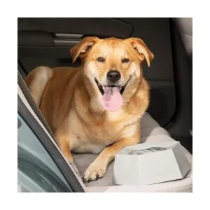 Leashboss Cuenco de agua para perro de viaje sin_5