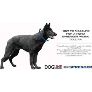 Herm Sprenger Collar de entrenamiento de perro de acero