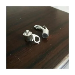 Dsmile 12 cierres magnéticos de langosta perfectos para