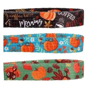 Thanksgiving Cat CollarSafety Puppy Collars Breakaway