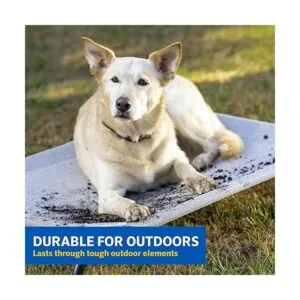 Coolaroo La cama elevada para mascotas de refrigeración_4