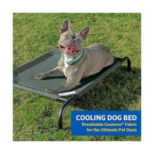 Coolaroo La cama elevada para mascotas de refrigeración_2