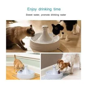 Prefiltro de espuma y filtro de carbono