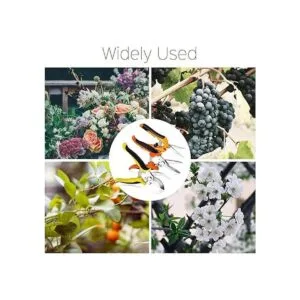 Juego de 3 tijeras de podar de jardín cuchillas de acero_6