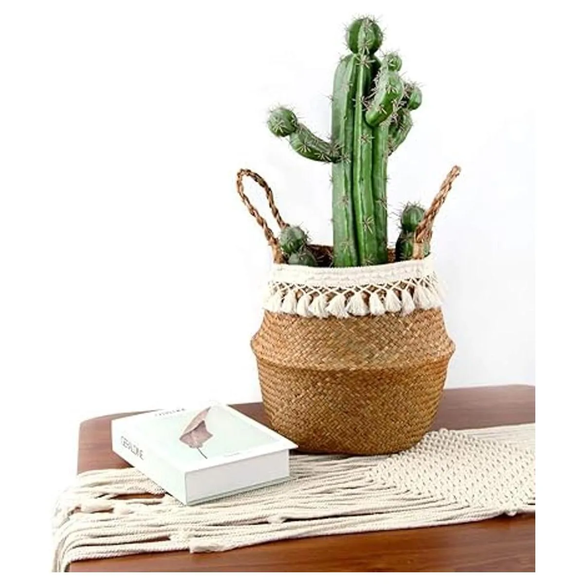 BlueMake Canasta tejida para almacenar plantas o