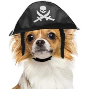 Amosfun Sombrero de pirata para mascotas para perro gato_2