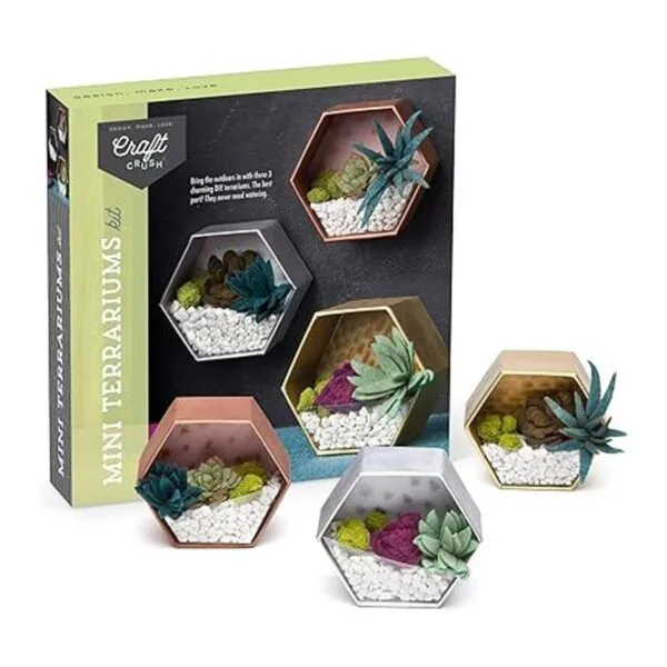 Craft Crush Kit de artesanía de mini terrarios para_6