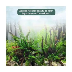 5 ramas de madera flotante para acuario decoración de_6