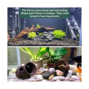 5 ramas de madera flotante para acuario decoración de_2