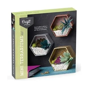 Craft Crush Kit de artesanía de mini terrarios para_1