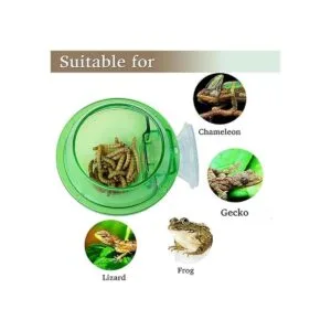 Tfwadmx Chameleon Bowl alimentador de reptiles