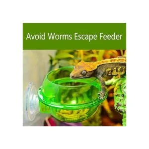 Tfwadmx Chameleon Bowl alimentador de reptiles