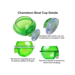 Tfwadmx Chameleon Bowl alimentador de reptiles