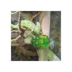 Tfwadmx Chameleon Bowl alimentador de reptiles