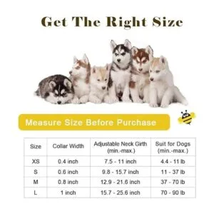 Qqpets Collar para perro personalizado suave cómodo