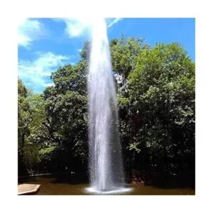 FNPT DN25 Boquilla de fuente de estilo recto central de 2